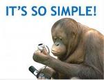 monkey on phone.JPG